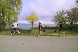 Hamilton Lakeshore marathon route