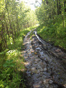 The trail heading up Mount Hamel – anybody for some mud?