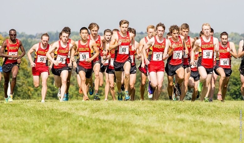 Guelph Gryphons cross-country