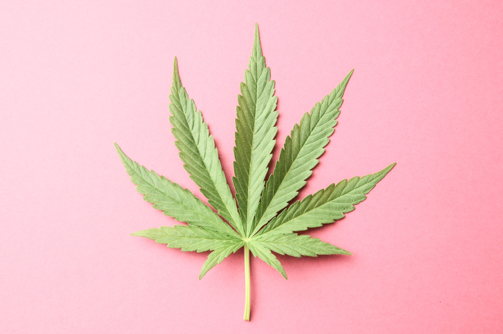 Is Marijuana A Good Alternative To Alcohol - Marijuana|Cannabis|Blend|Effects|Thc|People|Cbd|Plant|Alternatives|Tea|Health|Weed|Pain|Smoke|Alcohol|Plants|Cannabinoids|Drug|Body|States|Products|Brain|Way|Time|Alternative|Research|Substitute|List|Lotus|World|Quality|Effect|Years|Ounce|Cultures|Inflammation|Properties|Herb|System|Drugs|Herbal Blend|Medical Marijuana|Wild Dagga|Marijuana Alternatives|Herbal Smoke|Botanical Shaman|Marijuana Alternative|Blue Lotus|Siberian Motherwort|United States|Blue Lotus Flower|Psychoactive Effects|Herbal Blends|Chronic Pain|Many Cultures|Many People|Cbd Oil|Psychoactive Properties|Legal Substitute|Nervous System|Marijuana Substitute|Synthetic Marijuana|Wild Lettuce|Marijuana Substitutes|Natural Herbs|High Quality|Cannabis Plant|Synthetic Ingredients|Herbal Tea|Edible Marijuana