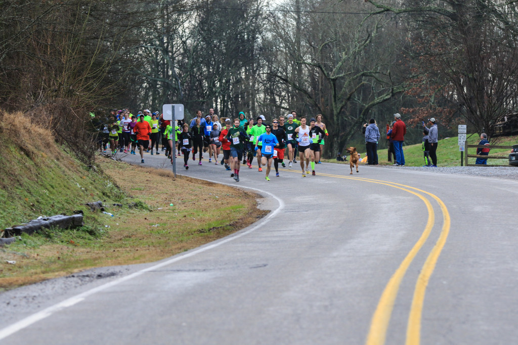 Elkmont Half-Marathon