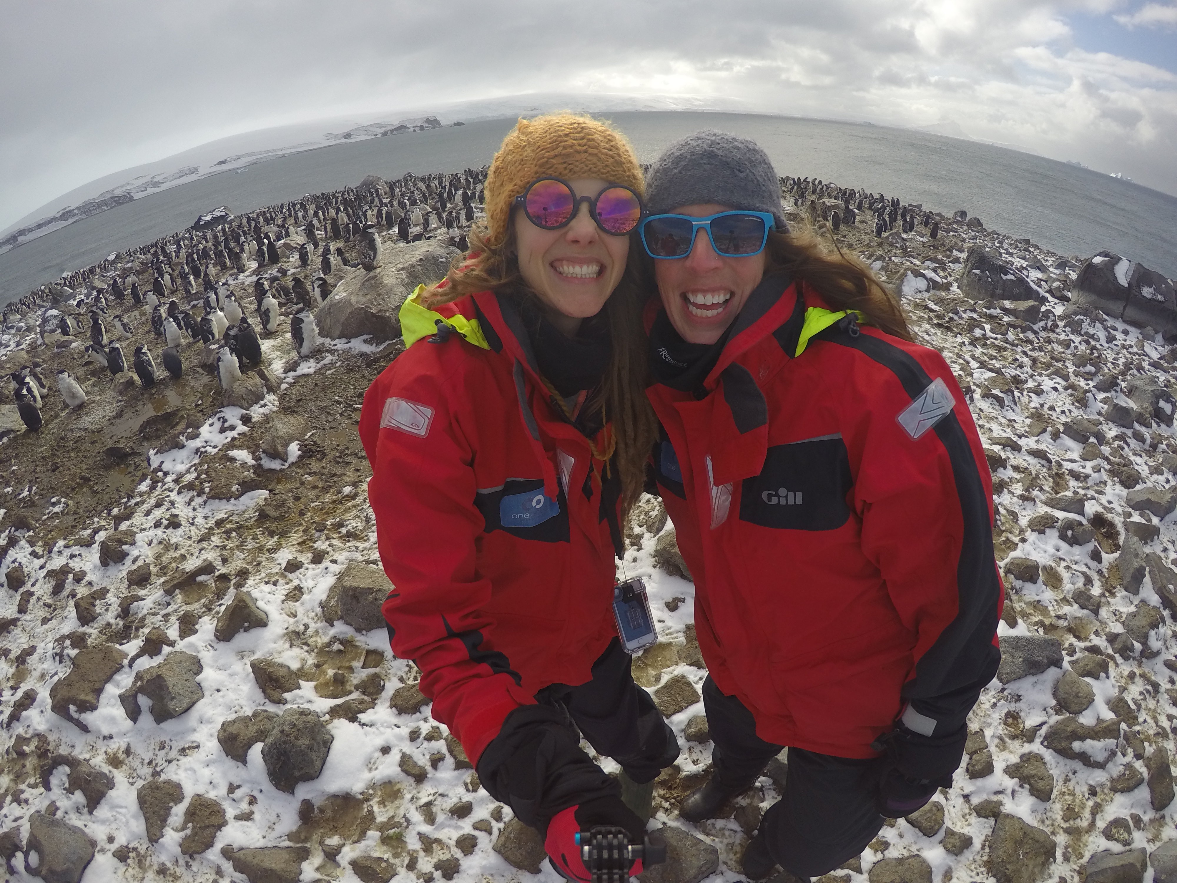 Antarctica Marathon Canadians