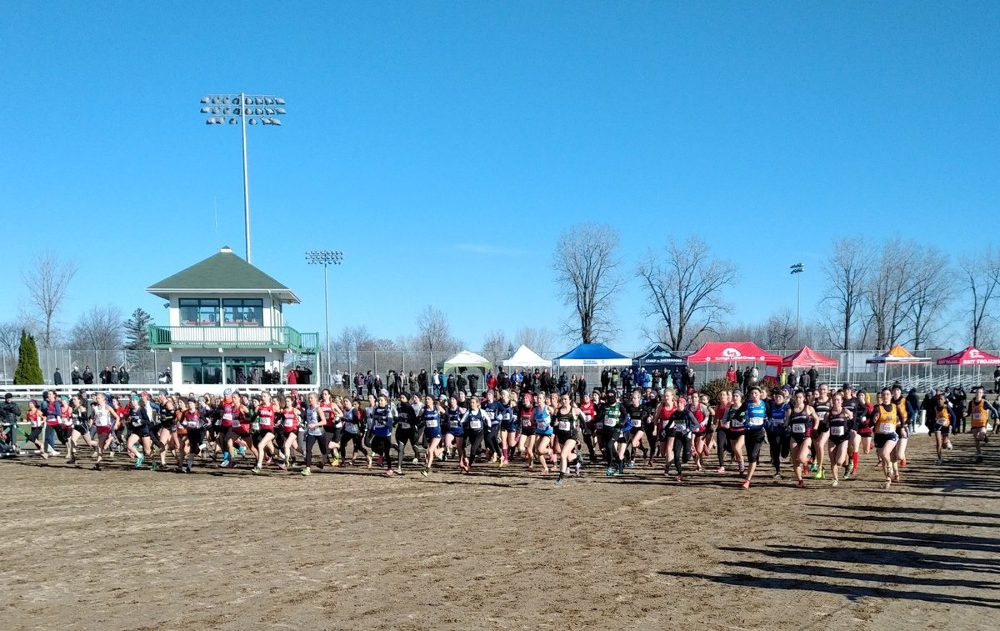 Canadian Collegiate Cross Country Championships