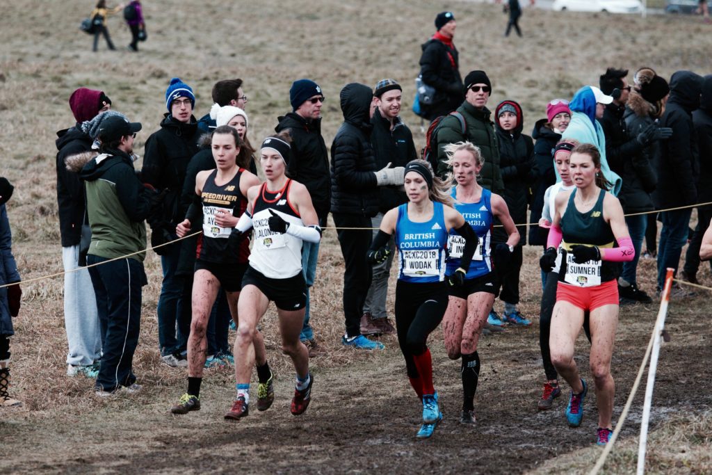 Image result for genevieve lalonde cross country