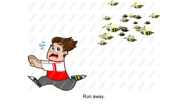 run from wasps
