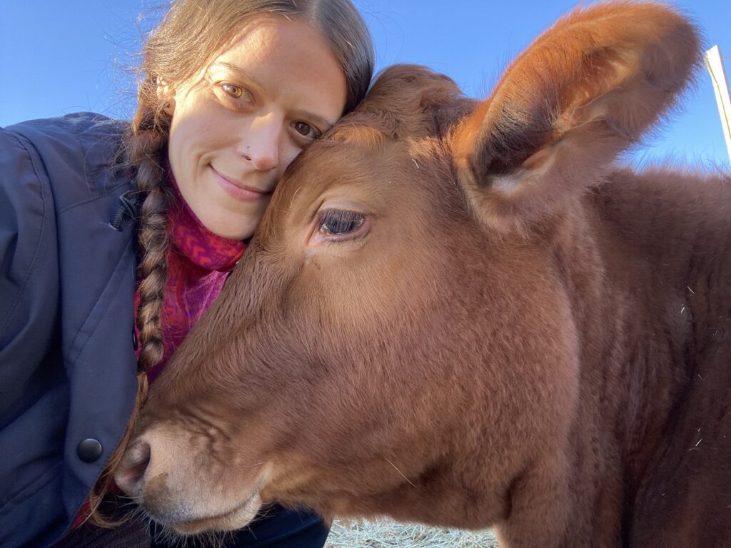 ultrarunner prissy forgie and cow 2022
