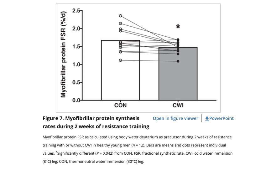 study on cold water immersion and amino acid uptake
