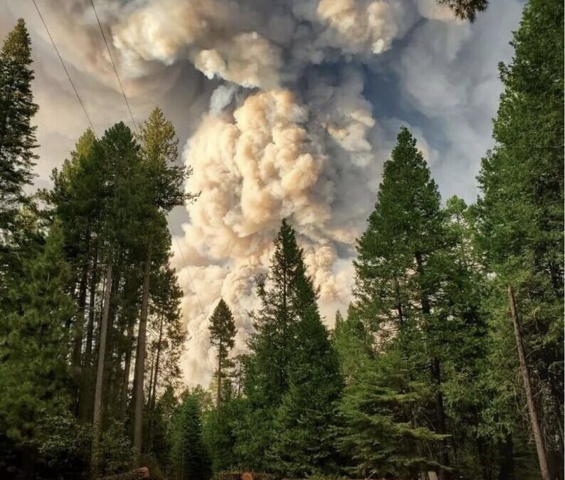 Mosquito Fire, Placer County CaLI