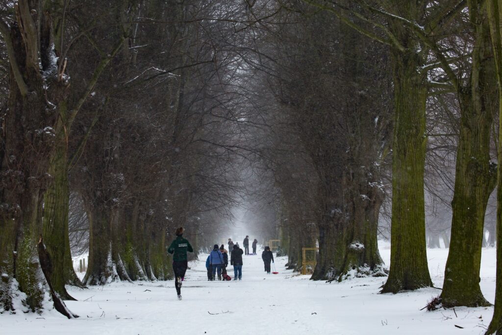 person running in snowy park