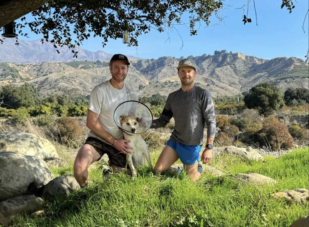 Trail runners save dog from mountain lion attack - Canadian Running Magazine